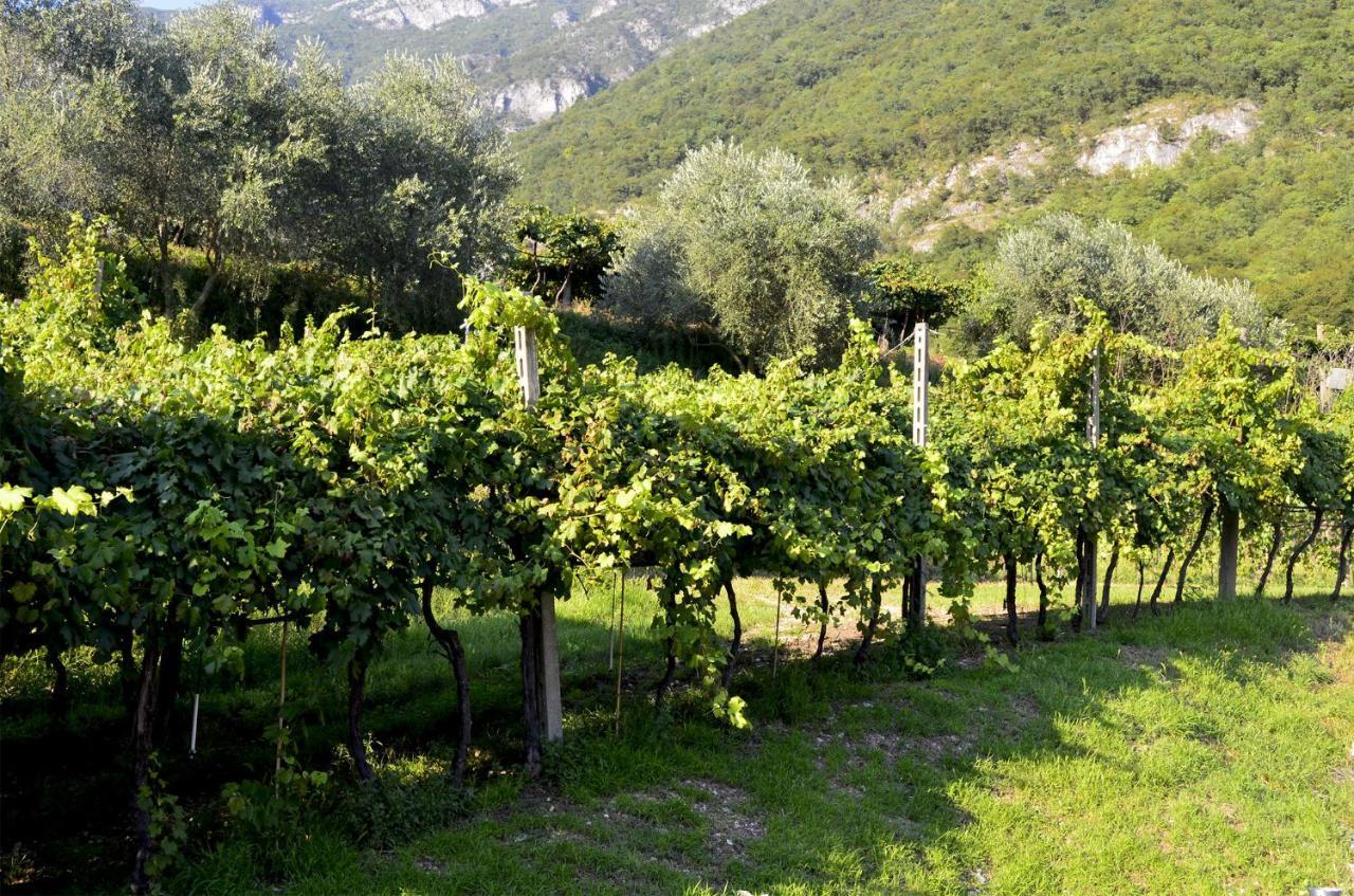 Ca Ulivi Bed & Breakfast Ala Exterior foto