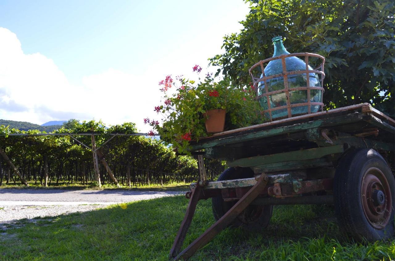 Ca Ulivi Bed & Breakfast Ala Exterior foto