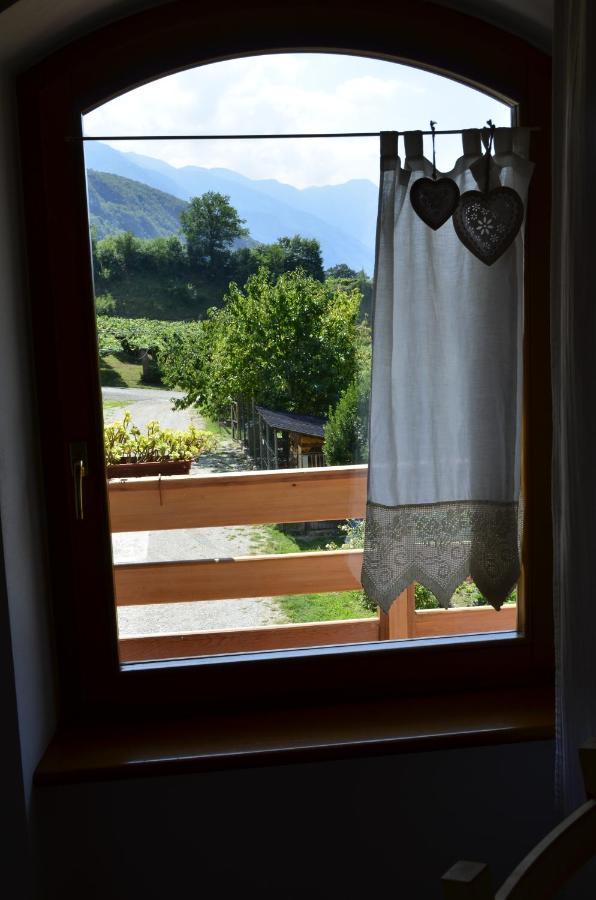 Ca Ulivi Bed & Breakfast Ala Exterior foto